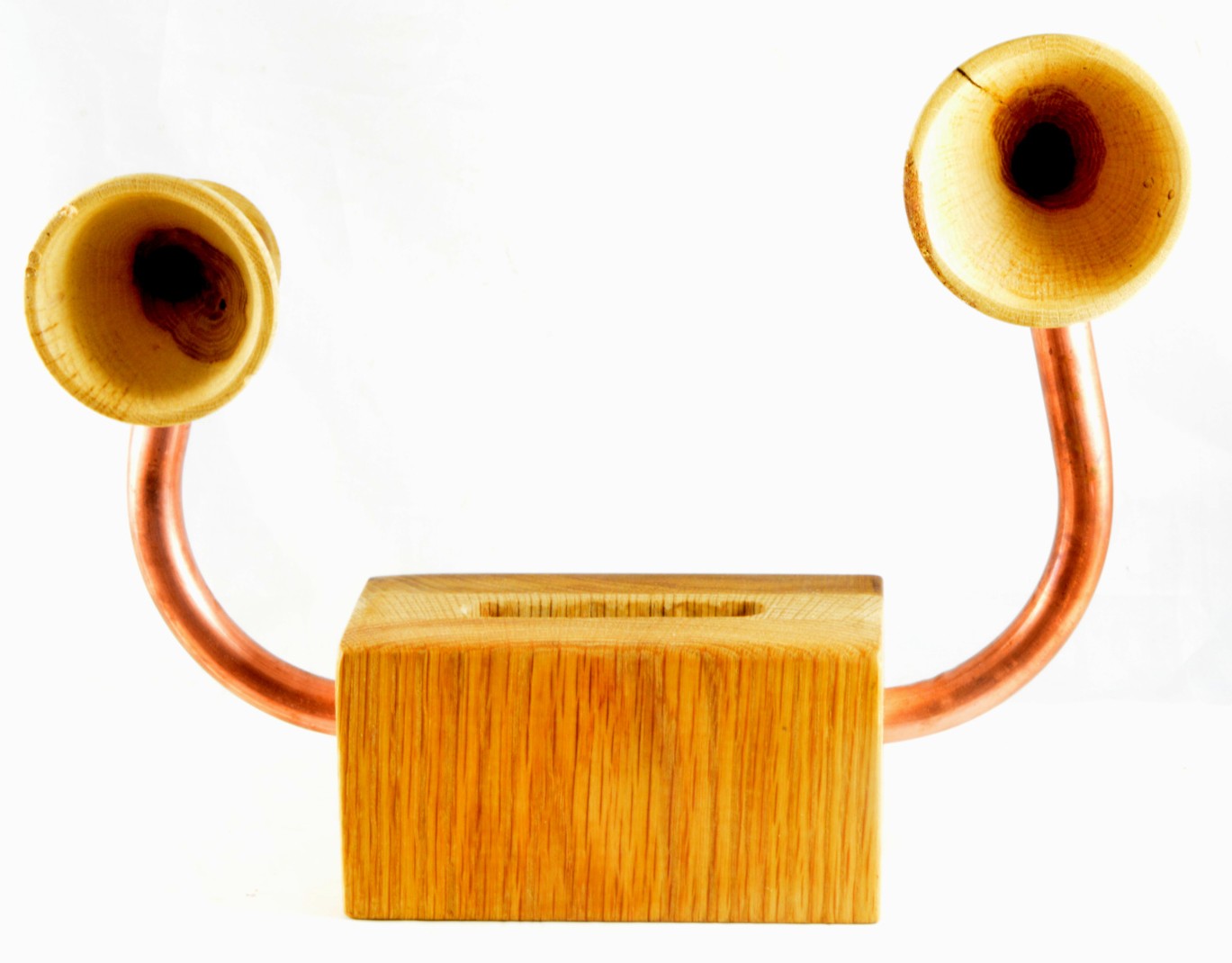 Enceinte bois
