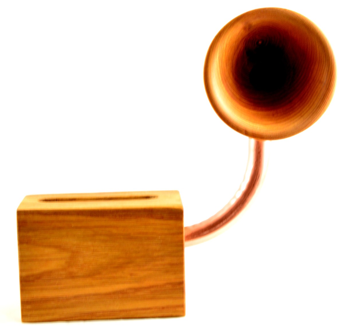 Enceinte bois